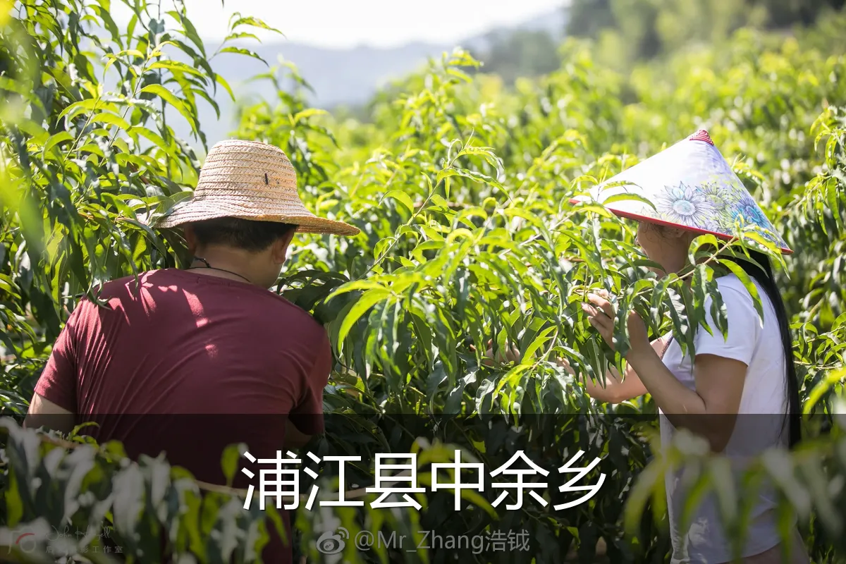 浦江县中余乡